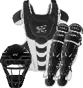 T5.webp