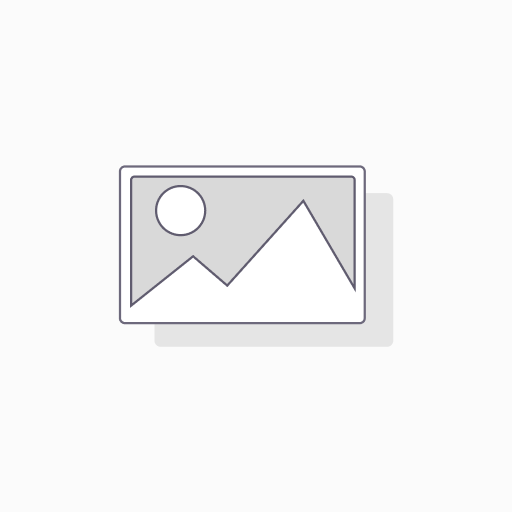 Outlaws Helmet sticker