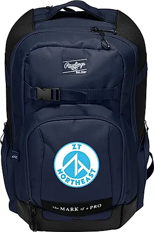 Rawlings Journey Bag